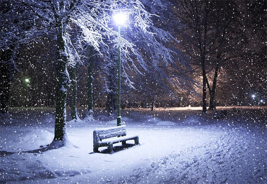 Toile de fond de nuit hiver neige photographie de Noël