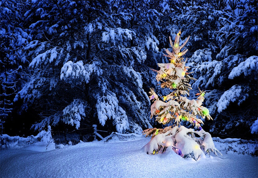 Toile de fond de photographie de sapin de Noël clair fond d'hiver