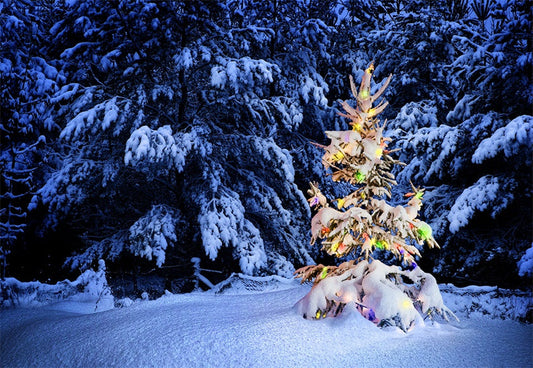 Toile de fond de photographie de sapin de Noël clair fond d'hiver