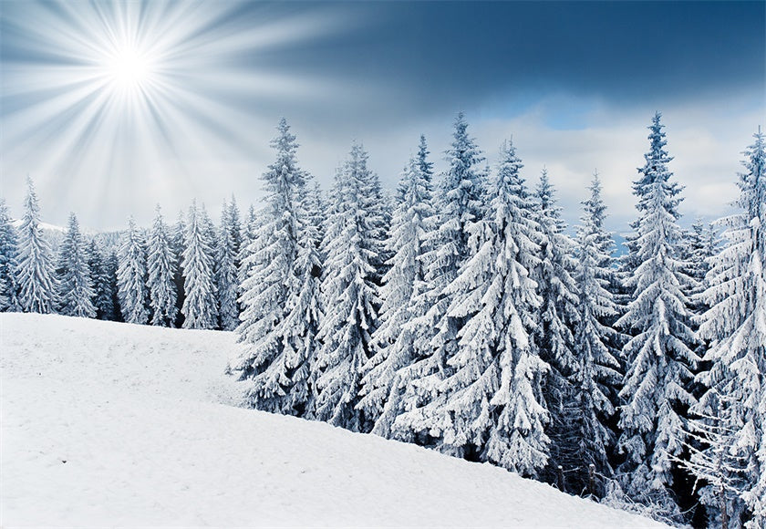 Toile de fond de lumière du soleil neige forêt photographie fond d'hiver