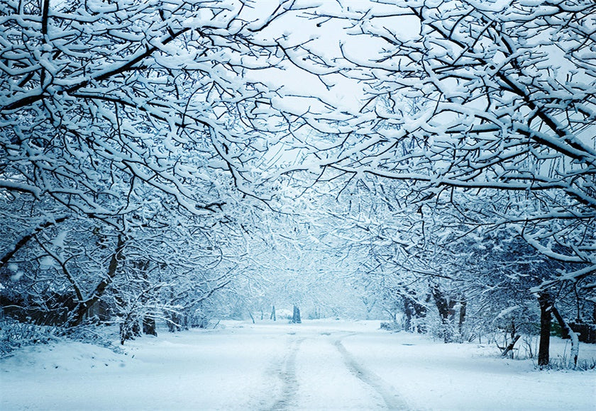 Toile de fond d'arbre de couverture de neige pour la photographie fond de photo d'hiver