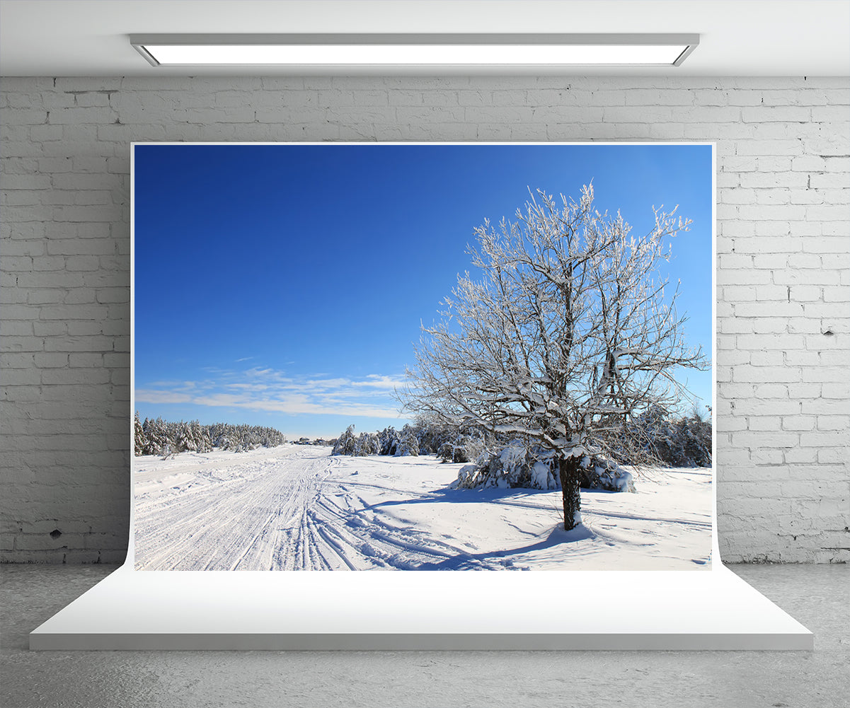 Toile de fond de photographie de route de neige pour l'hiver