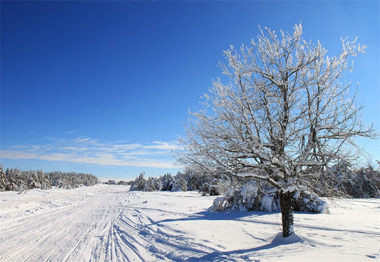 Toile de fond de photographie de route de neige pour l'hiver