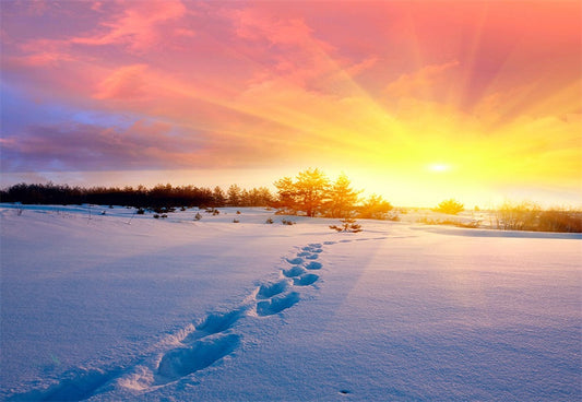 Toile de fond de coucher de soleil lumière neige photographie fond d'hiver