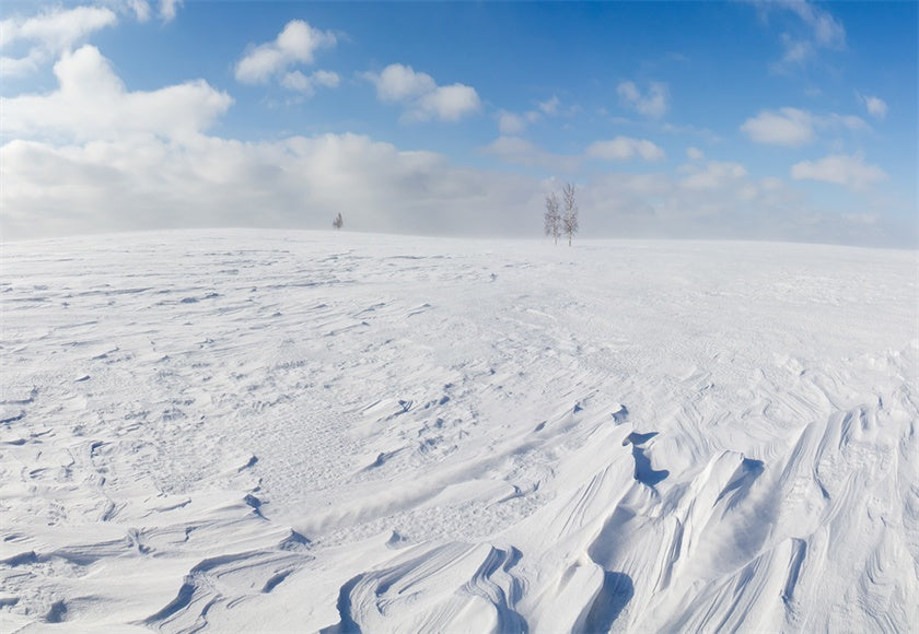 Toile de fond blanc neige sol photographie fond d'hiver