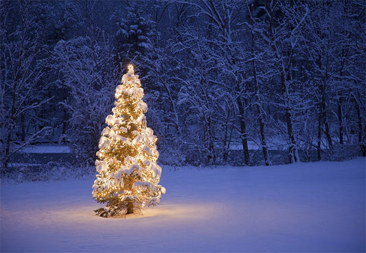 Toile de fond de nuit lumière sapin de Noël photographie fond d'hiver