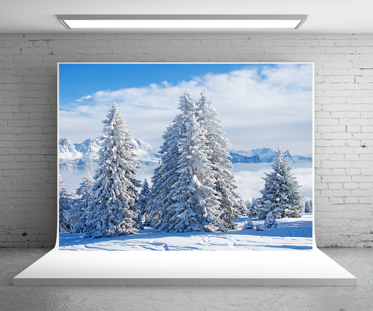 Toile de fond blanc neige pin arbre photographie fond d'hiver