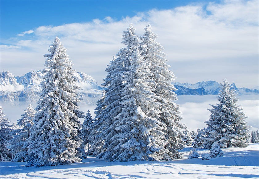 Toile de fond blanc neige pin arbre photographie fond d'hiver