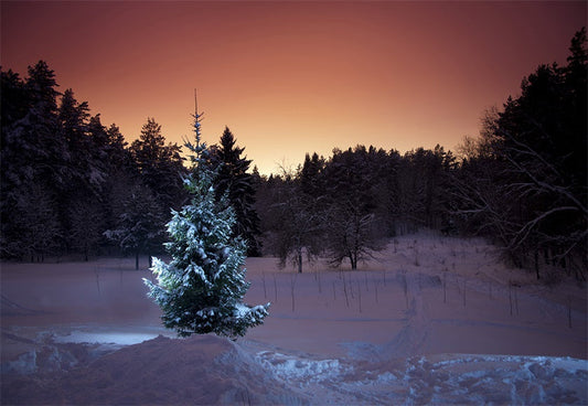 Toile de fond de photographie d'arbre de neige de nuit pour l'hiver