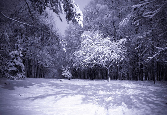 Toile de fond de photographie de forêt de neige de nuit fond de photo d'hiver