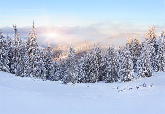 Toile de fond de neige blanche forêt montagne photo fond d'hiver