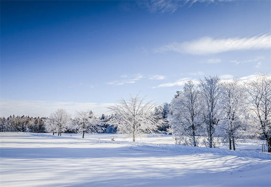 Toile de fond de photographie de neige blanche fond d'hiver