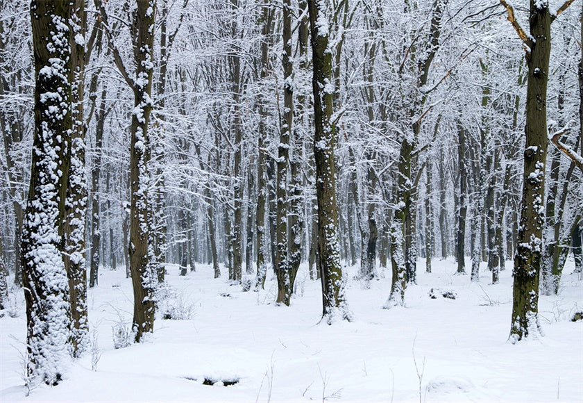 Toile de fond de photographie de couverture de neige blanche pour l'hiver