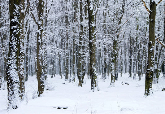 Toile de fond de photographie de couverture de neige blanche pour l'hiver