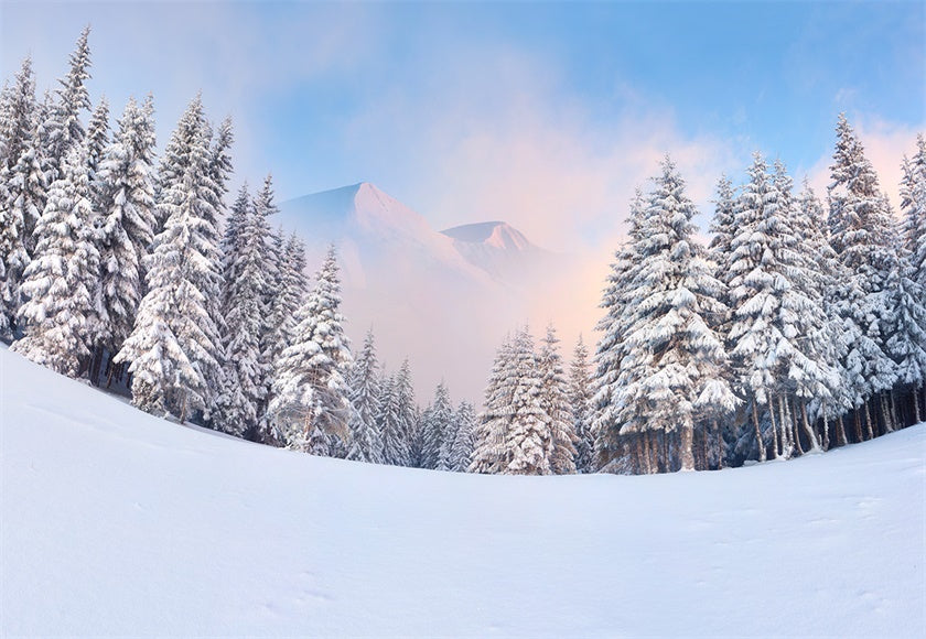 Toile de fond de brouillard couverture de neige forêt photographie d'hiver