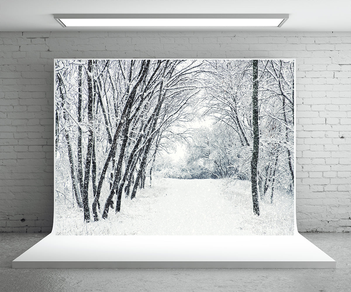 Toile de fond de couverture de neige blanche arbre route photographie d'hiver