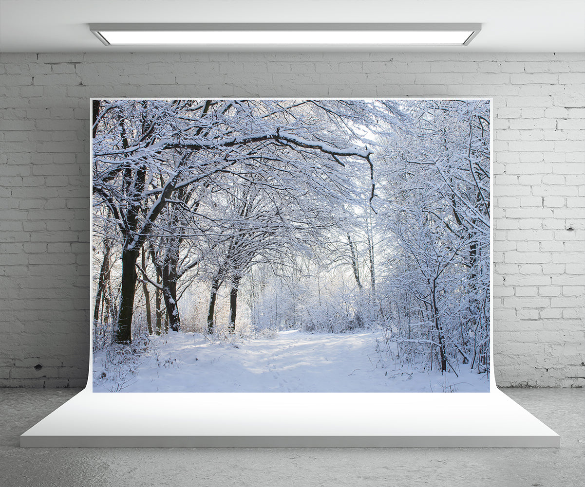 Toile de fond de couverture de neige branches photographie d'hiver