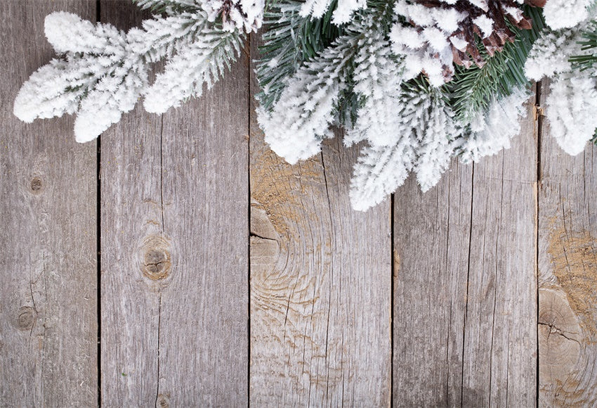 Toile de fond de branche de pin mur en bois photographie fond de Noël
