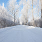 Toile de fond de photographie de route de neige blanche pour la session d'hiver