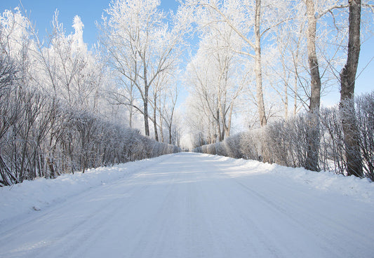 Toile de fond de photographie de route de neige blanche pour la session d'hiver