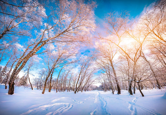 Toile de fond de photo de couverture de neige blanche d'hiver pour la photographie