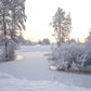 Toile de fond de neige rivière arbre photographie fond d'hiver