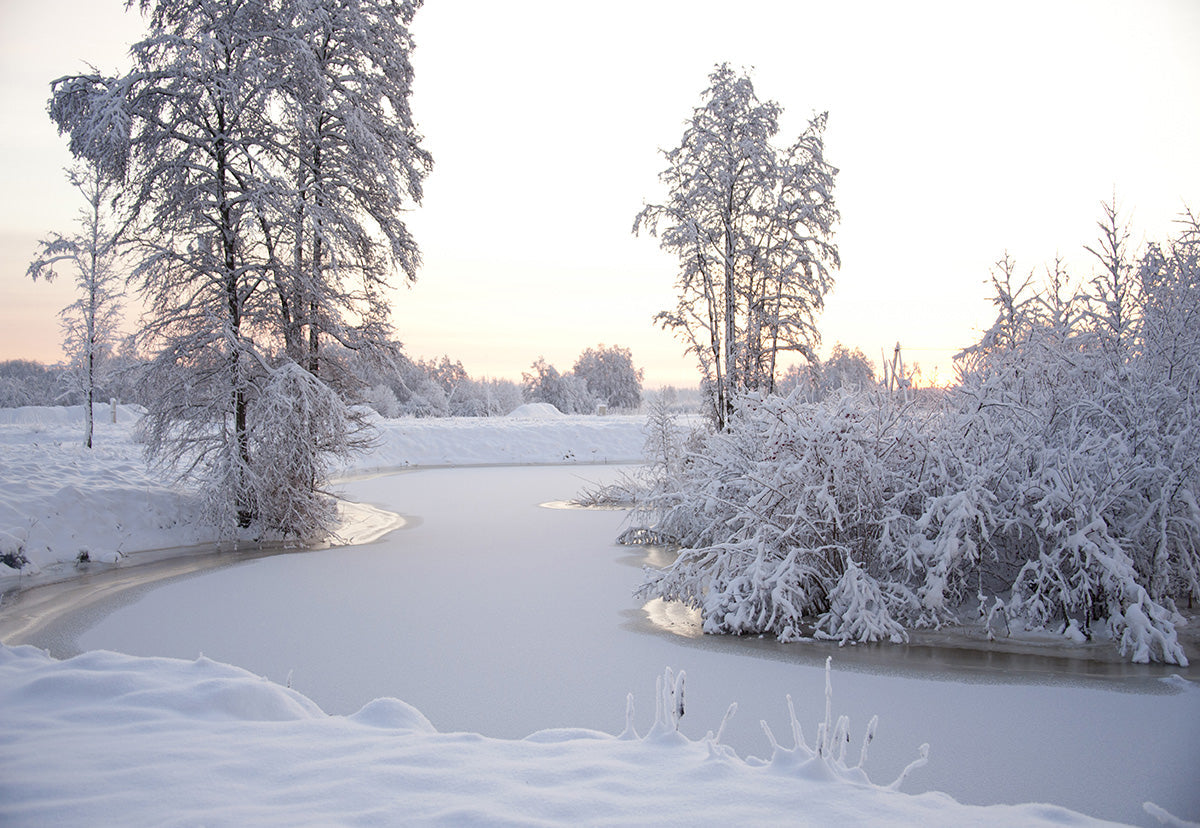 Toile de fond de neige rivière arbre photographie fond d'hiver