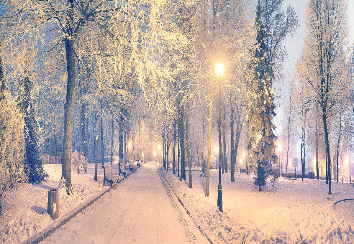 Toile de fond de nuit lumière neige route photographie fond d'hiver