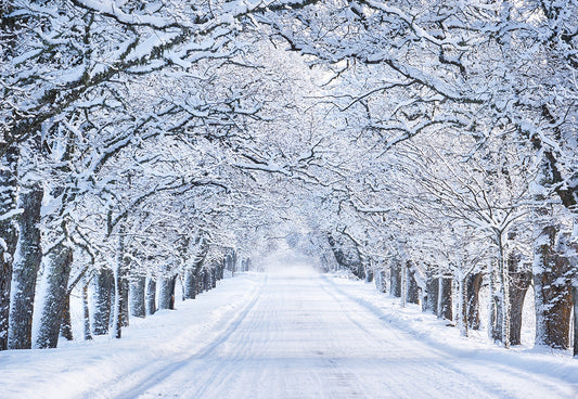 Toile de fond de photographie de route de neige d'hiver blanc