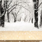 Toile de fond de flocon de neige blanc plancher de bois photographie fond d'hiver
