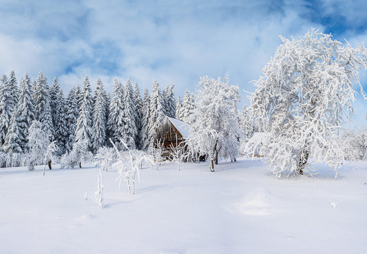 Toile de fond de photographie de forêt de couverture de neige blanche d'hiver