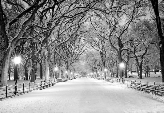 Toile de fond d'hiver nuit neige route photographie fond de Noël