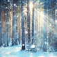 Toile de fond de photographie de forêt de lumière du soleil d'hiver fond de Noël