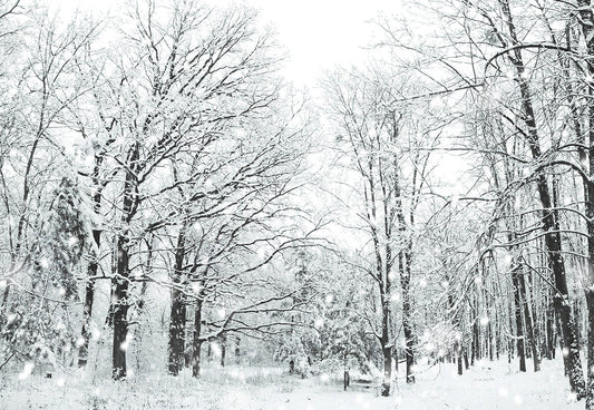 Toile de fond de branches de forêt de flocon de neige blanc de photographie d'hiver