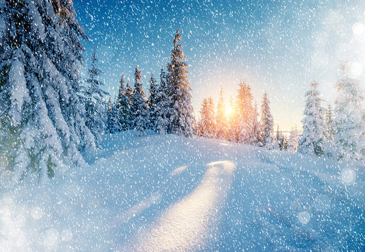 Toile de fond de photographie de forêt enneigée fond d'hiver