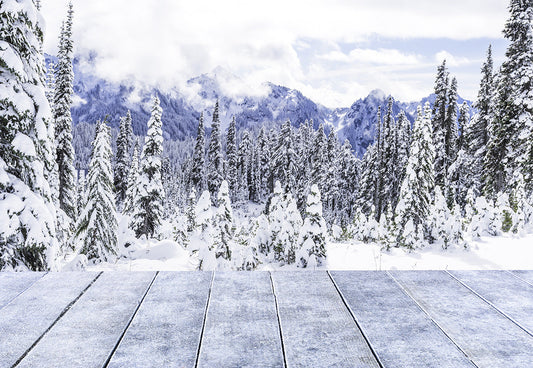 Toile de fond de photographie de plancher de bois de forêt de neige blanche d'hiver