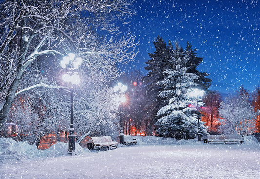 Toile de fond de photographie de neige de nuit d'hiver