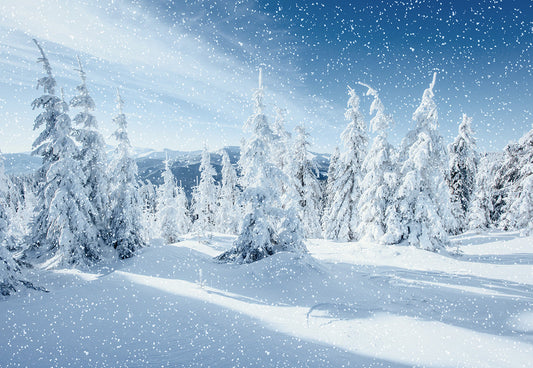 Toile de fond de photographie de forêt de flocon de neige d'hiver pour les photos