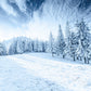 Toile de fond de forêt de montagne de neige blanche d'hiver pour la photographie