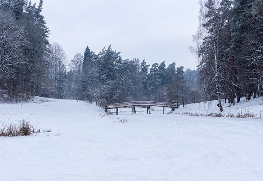 Toile de fond de neige rivière forêt hiver photographie