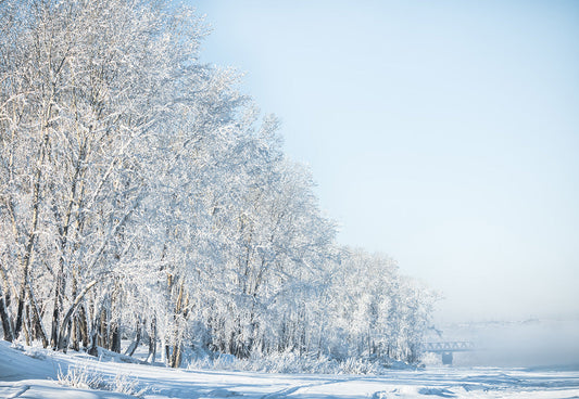 Toile de fond de photographie de brouillard de branches de neige d'hiver pour le studio