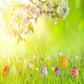 Toile de fond de printemps herbe fleurs vert Pâques décors