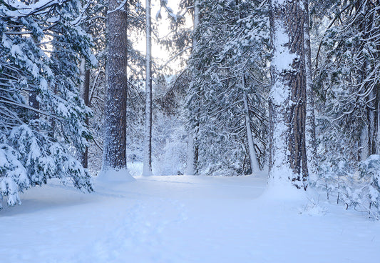 Toile de fond de couverture de neige forêt hiverpays des merveilles de photographie