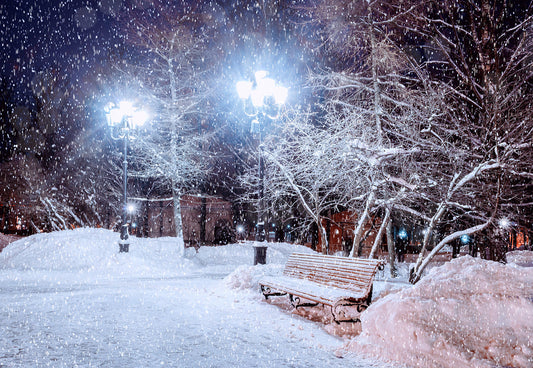 Toile de fond de photographie de parc de neige de nuit d'hiver