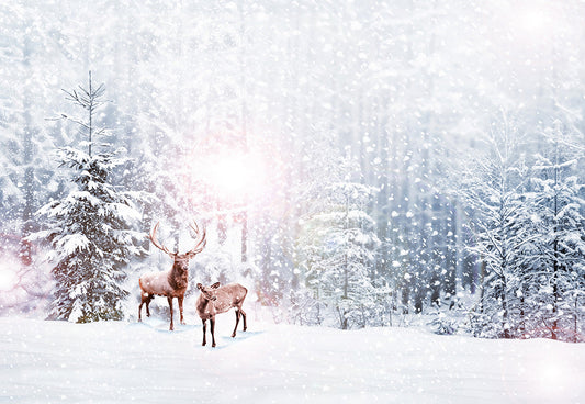 Toile de fond d'hiver neige forêt wapiti cerf pays des merveilles de photographie