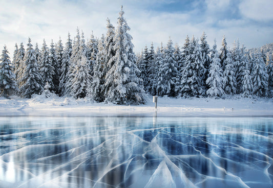 Toile de fond d'hiver neige rivière glace pays des merveilles forêt de pins pour les photos