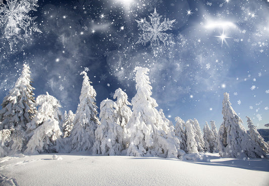 Toile de fond décors de pin de forêt d'hiver de flocon de neige pour des photos