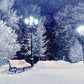 Toile de fond de photographie de couverture de neige d'hiver de nuit