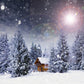 Toile de fond d'hiver neige lumière du soleil forêt maisons photographie