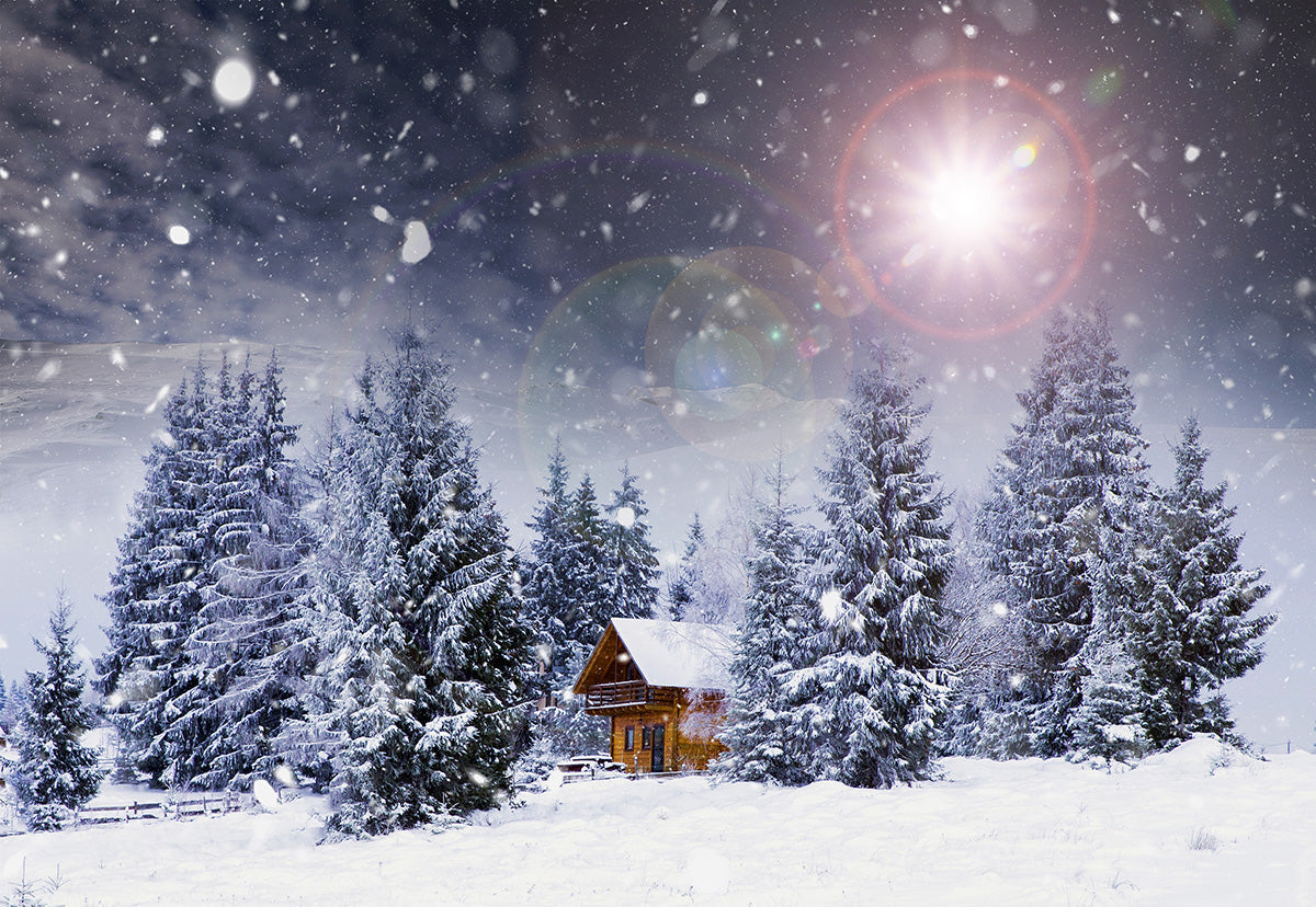 Toile de fond d'hiver neige lumière du soleil forêt maisons photographie